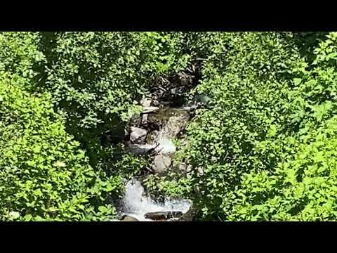 Babbling Brook