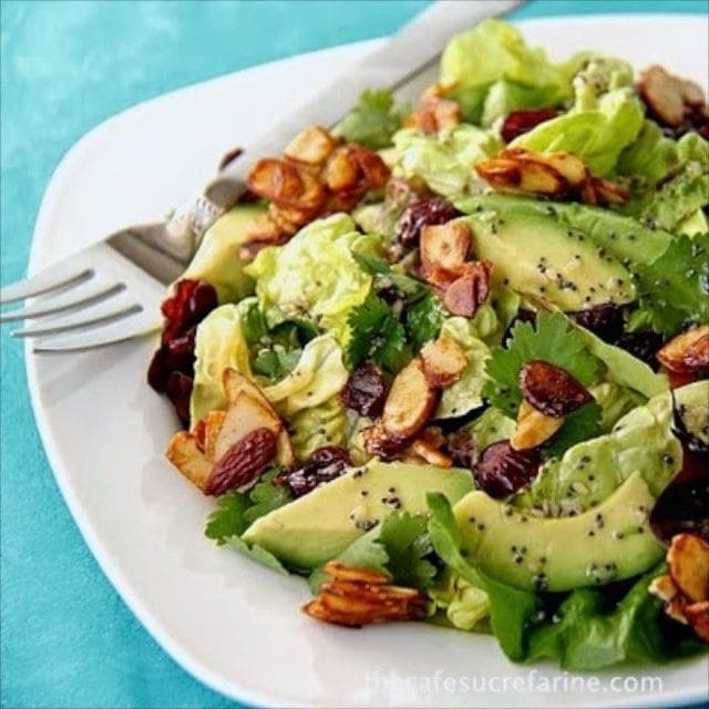 Cranberry-Avocado Salad with Sweet White Balsamic Vinaigrette -  Once you try this delicious salad you'll find yourself craving it again and again! It's bright, fresh and beyond versatile.