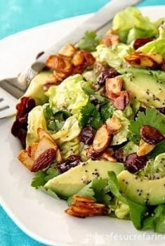 Cranberry-Avocado Salad with Sweet White Balsamic Vinaigrette - Once you try this delicious salad you'll find yourself craving it again and again! It's bright, fresh and beyond versatile.