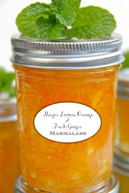 Meyer Lemon, Orange and Fresh Ginger Marmalade - if you think you don't like marmalade, think again. This one has no bitterness and there's no canning knowledge needed. It's super simple and crazy delicious!