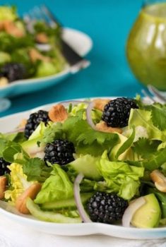 Baby Bok Choy and Blackberry Salad? Flavorful blackberries, crunchy bok choy, cashews and basil-lemon viniagrette - What's not to like about this tasty, healthy salad? Yum!