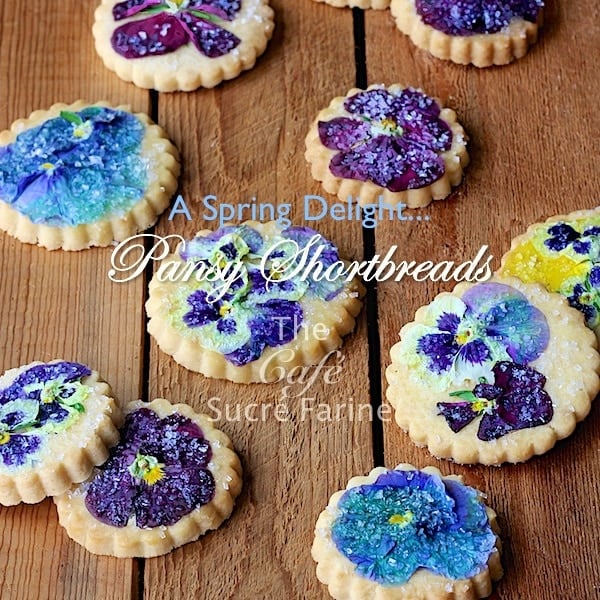 These Pansy Shortbread Cookies are just the showstopper for your next celebration, or just to welcome in spring. Did you know pansies are edible? Who knew!