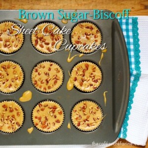 Brown Sugar Biscoff Sheetcake Cupcakes