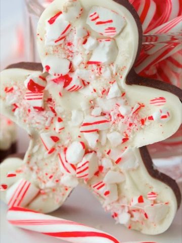 Who doesn't love Peppermint Bark? This delicious, fun version will thrill kids and adults alike!
