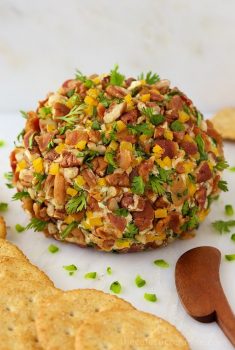 Vertical picture of a bacon jalapeno cheddar cheese ball with crackers on a white background