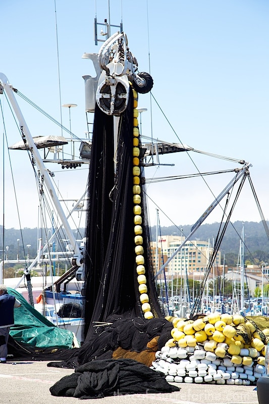 Monterey - Fisherman's net