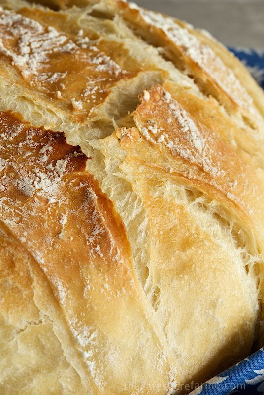 5 Minute Artisan Bread Tutorial. Sound too good to be true? It's not! You'll think your kitchen's been transformed to a European bake shop!