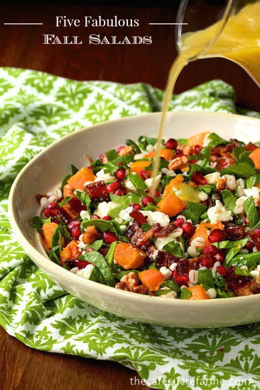 Five Fabulous Fall Salads - these are our favorite healthy and super delicious recipes for the autumn season.