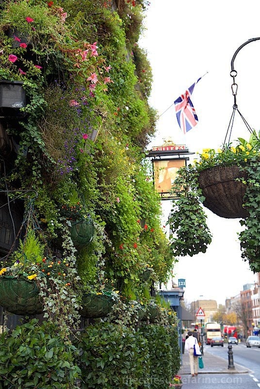 Why we love London - the flowers!
