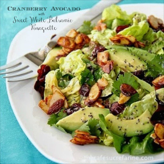 Cranberry Avocado Salad with Sweet White Balsamic Vinaigrette -  this salad has literally traveled around the world. I have gotten emails from people all over the place who have gone crazy over it!