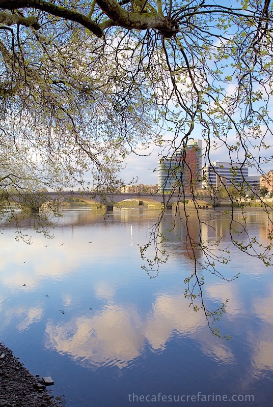 The River Thames - London Spring - Fulham Park, London, UK