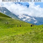 Vertical photo of the mountain meadows near Le Tour, France on the Swiss border.