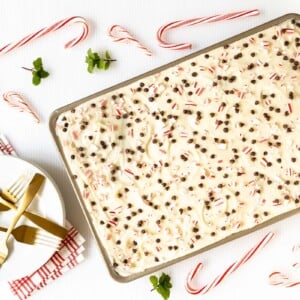 Horizontal overhead photo of a pan of Ridiculously Easy Chocolate Peppermint Sheet Cake surrounded by candy canes and mint leaves.