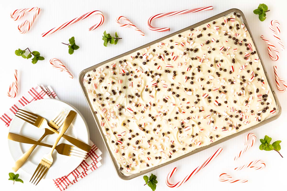 Horizontal overhead photo of a Ridiculously Easy Chocolate Peppermint Sheet Cake surrounded by candy canes and fresh mint leaves.