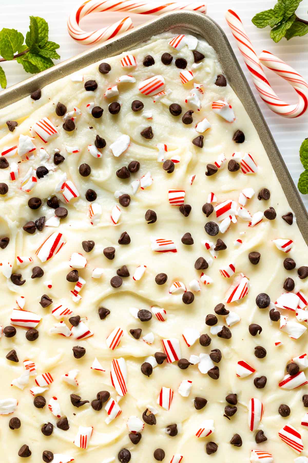 Overhead vertical closeup photo of a pan of Ridiculously Easy Chocolate Peppermint Sheet Cake surrounded by candy canes and fresh mint leaves.