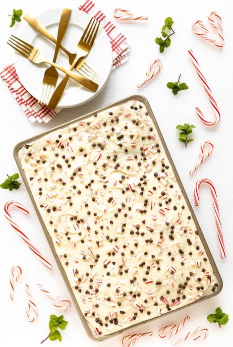 Overhead picture of Chocolate Peppermint Sheet Cake with Candy Canes