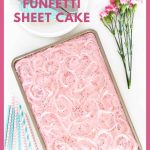 Vertical overhead photo of a Ridiculously Easy Funfetti Sheet Cake.