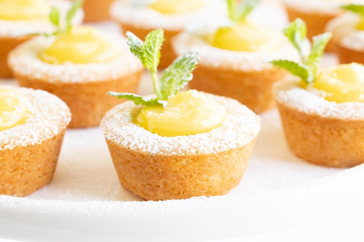 Horizontal closeup photo of a batch of Lemon Curd Shortbread Tarts sprinkled with powdered sugar and garnished with a sprig of fresh mint leaves.