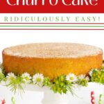 Vertical photo of a Ridiculously Easy Mexican Churro Cake with a word text graphic at the top of the photo