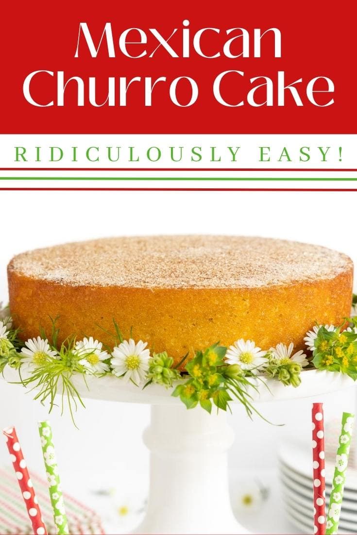 Ridiculously Easy Mexican Churro Cake