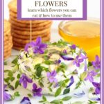 Vertical closeup photo of a Easy Goat Cheese Appetizer garnished with edible flowers with stacks of crackers and a dish of honey in the background.