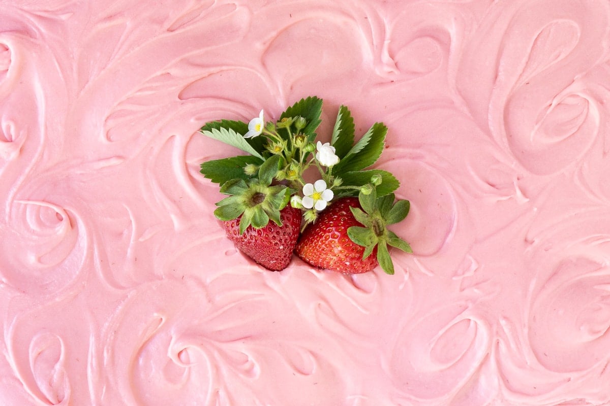 Horizontal overhead closeup photo of the top of a Vanilla Bean Sheet Cake with Fresh Strawberry Icing.