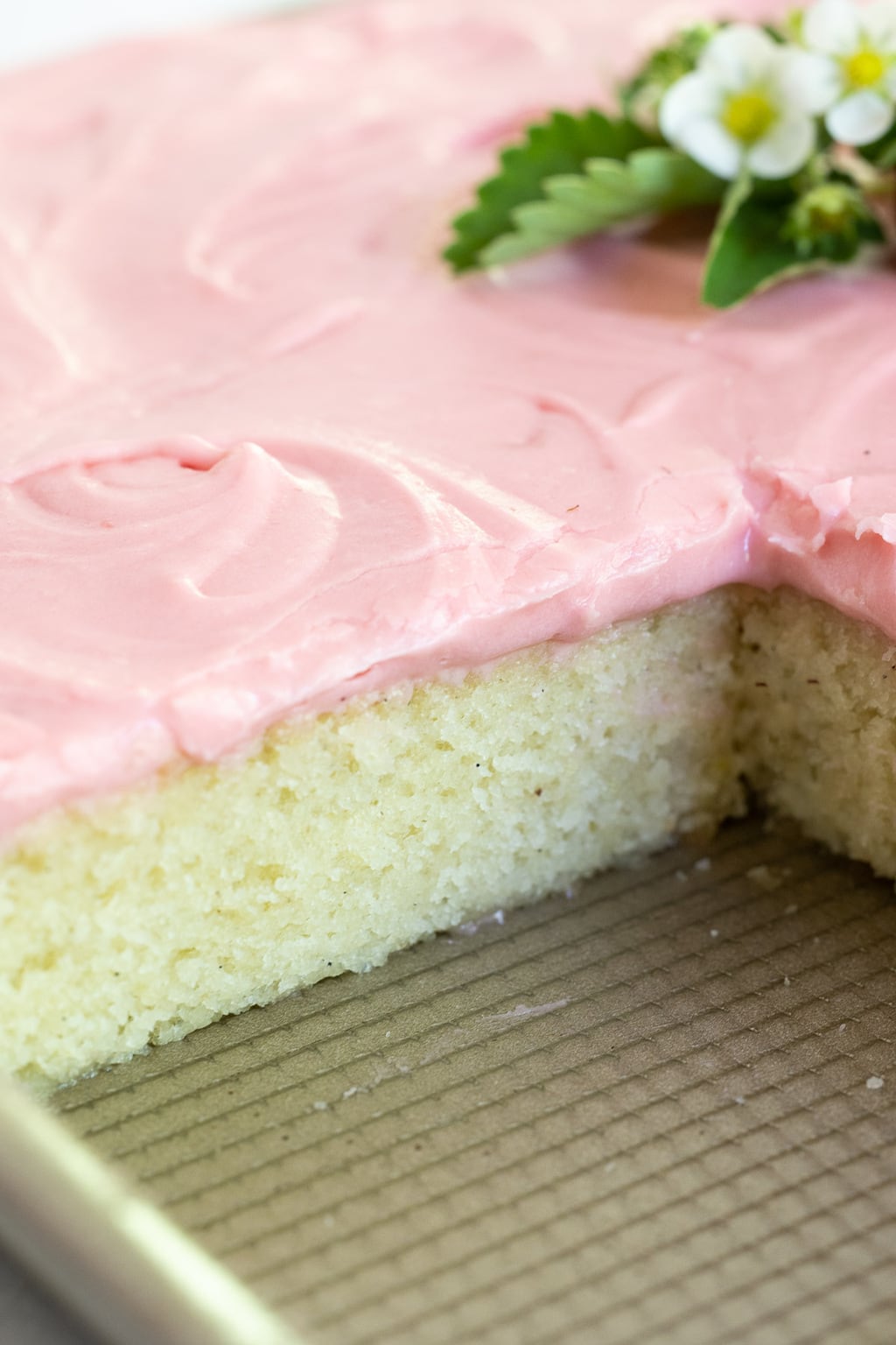 Vertical closeup photo of the inside of a Vanilla Bean Sheet Cake with Fresh Strawberry Icing.