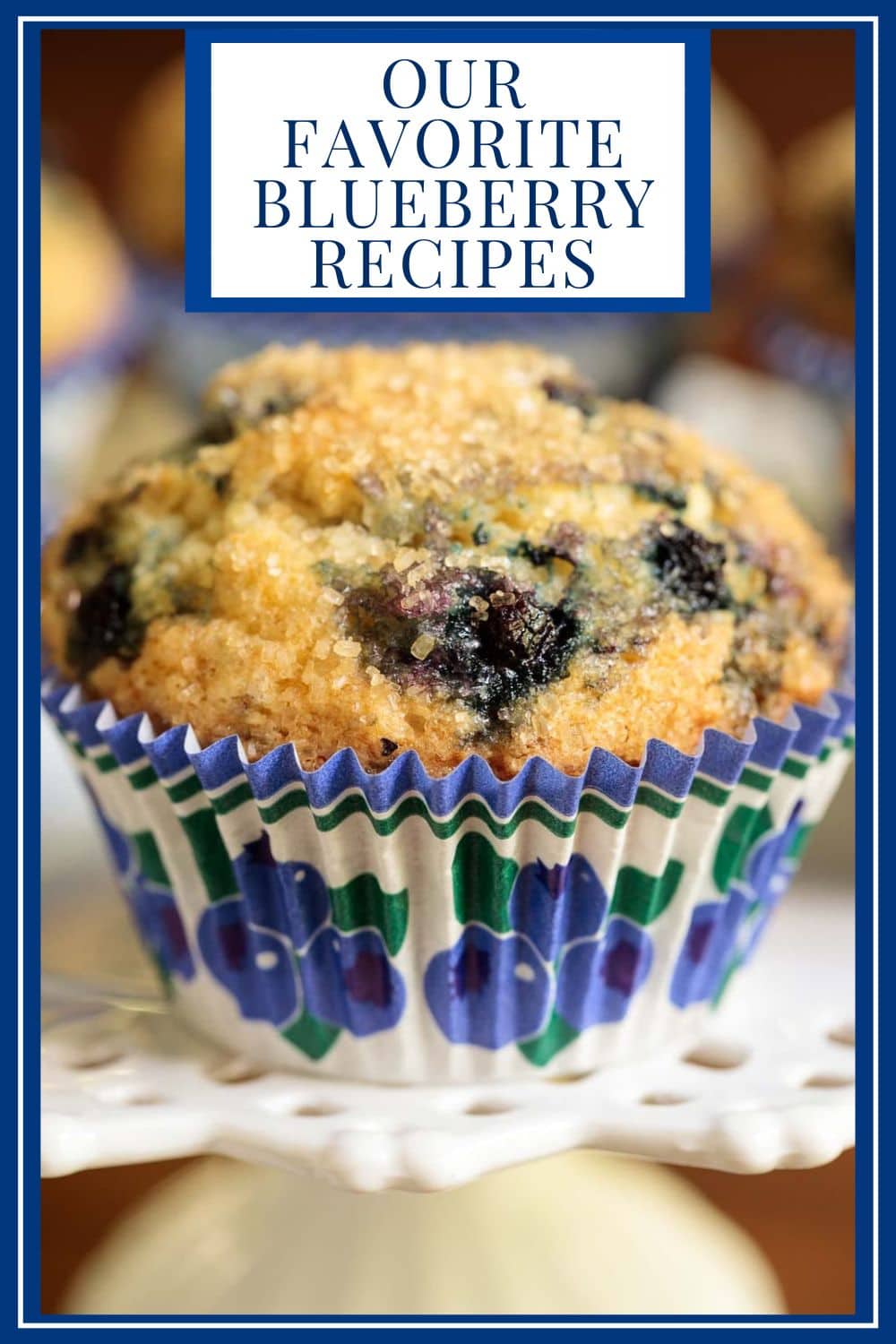 Savor the Season with these Summery Blueberry Recipes!