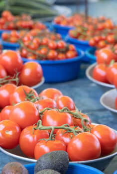 Horizontal closeup photo of crates of fresh mini tomatoes at a Lyon France street market.