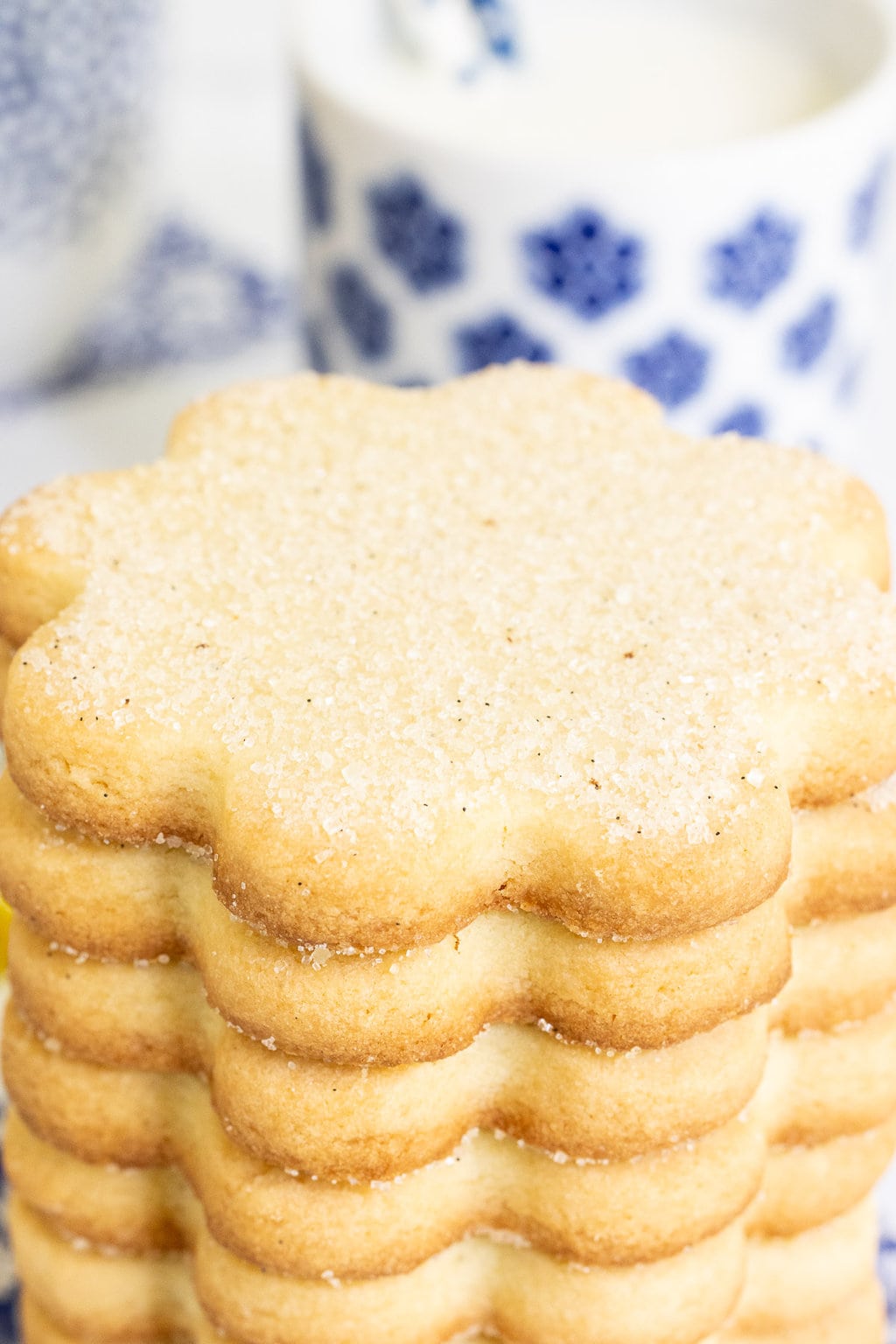 Vertical extreme closeup photo of a stack of French Shortbread Cookies (Sablés Bretons).