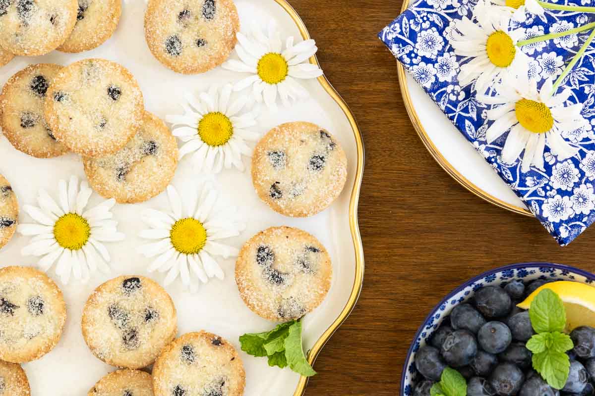 Horizontal overhead closeup photo of a batch of Ridiculously Easy Lemon Blueberry Shortbread Bites on a white serving plate with daisies.