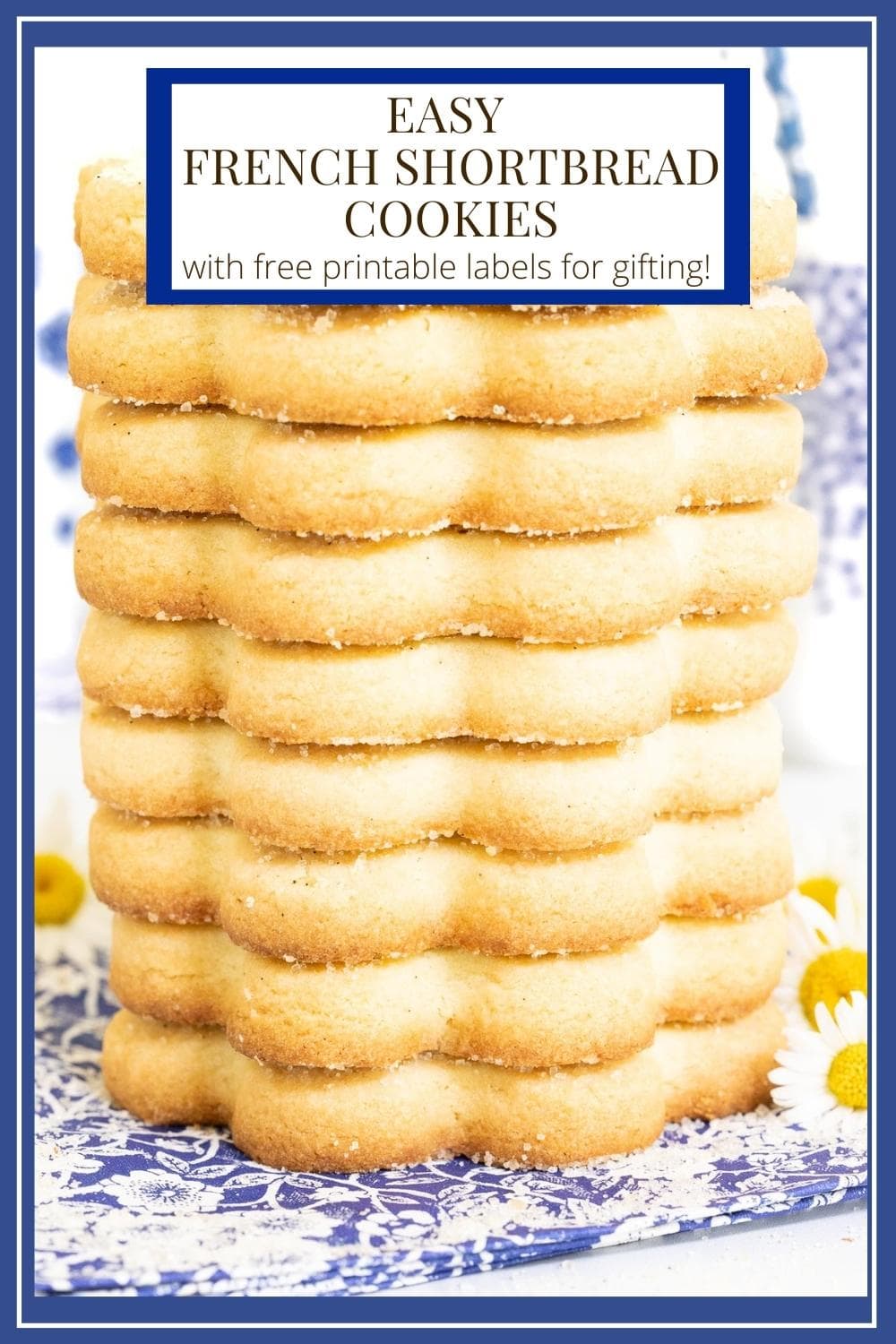 French Shortbread Cookies (Sablés Bretons)