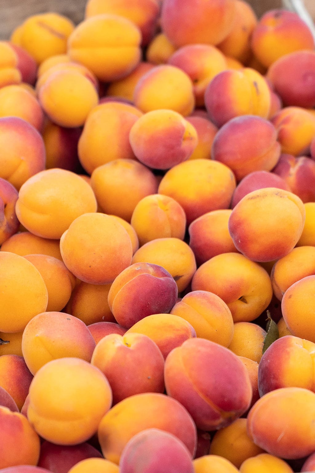 Vertical closeup photo of mounds of Apricots at a French outdoor market in Lyon, France.
