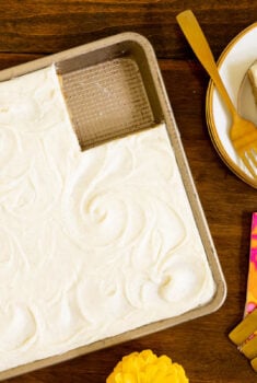 Horizontal overhead photo of a Ridiculously Easy Butterscotch Sheet Cake with a slice on an individual serving plate.