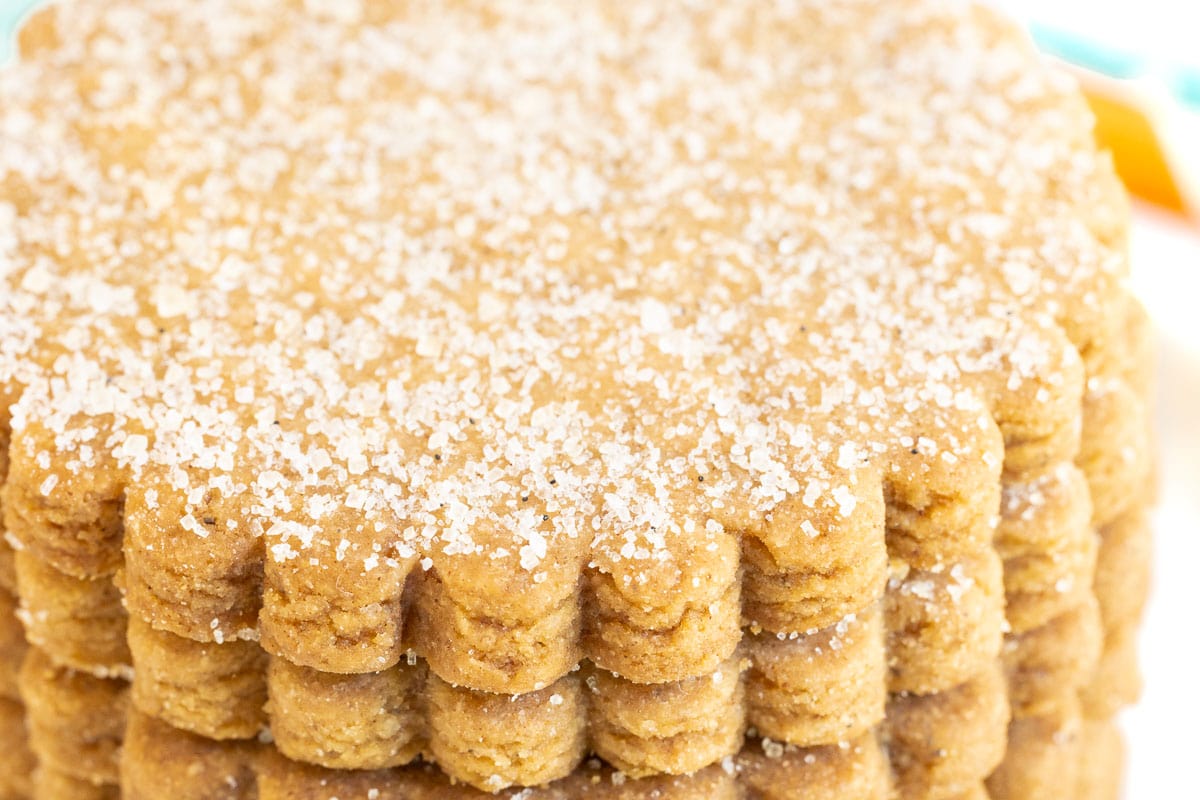 Extreme closeup horizontal photo of the top of a stack of Belgian Shortbread Cookies.