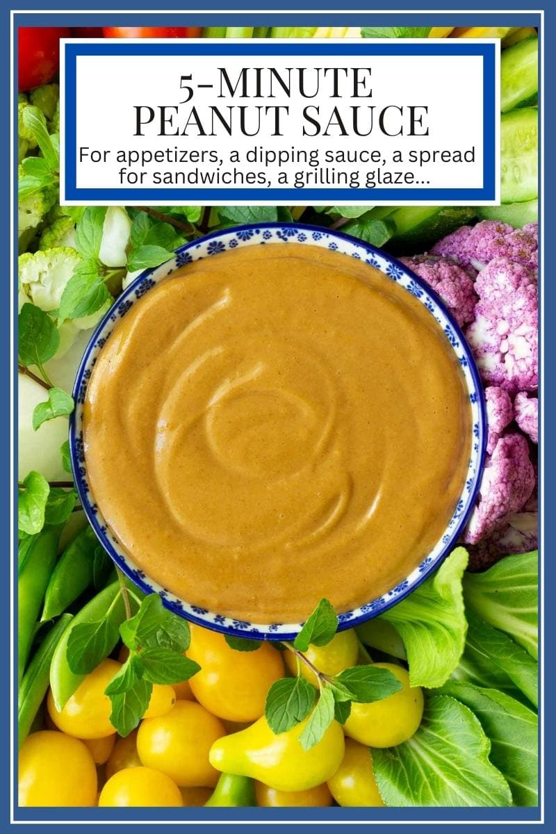 Ridiculously Easy Peanut Sauce - a 5-minute, healthy appetizer everyone will love!