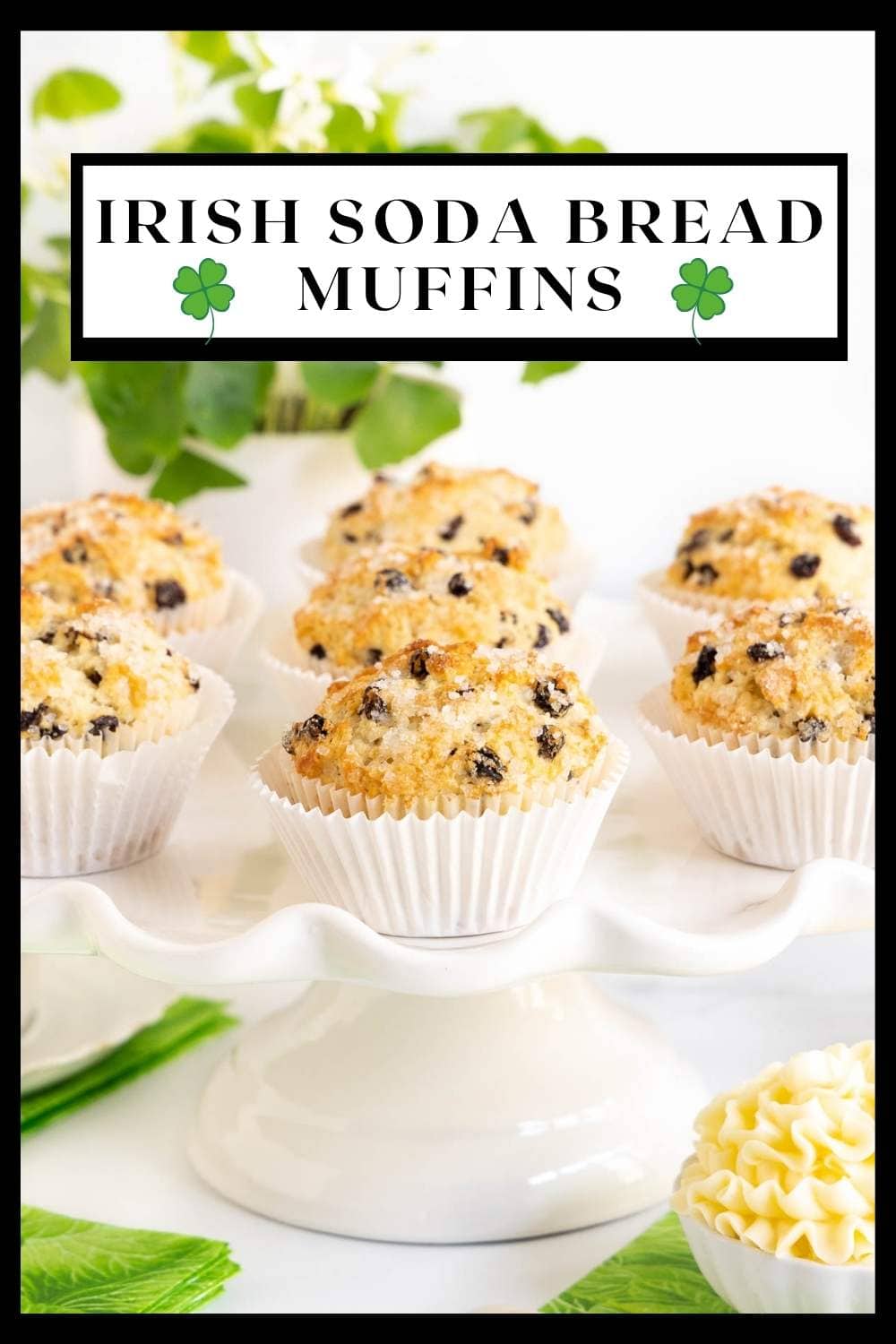 Irish Soda Bread Muffins (not so traditional but oh so delicious!)