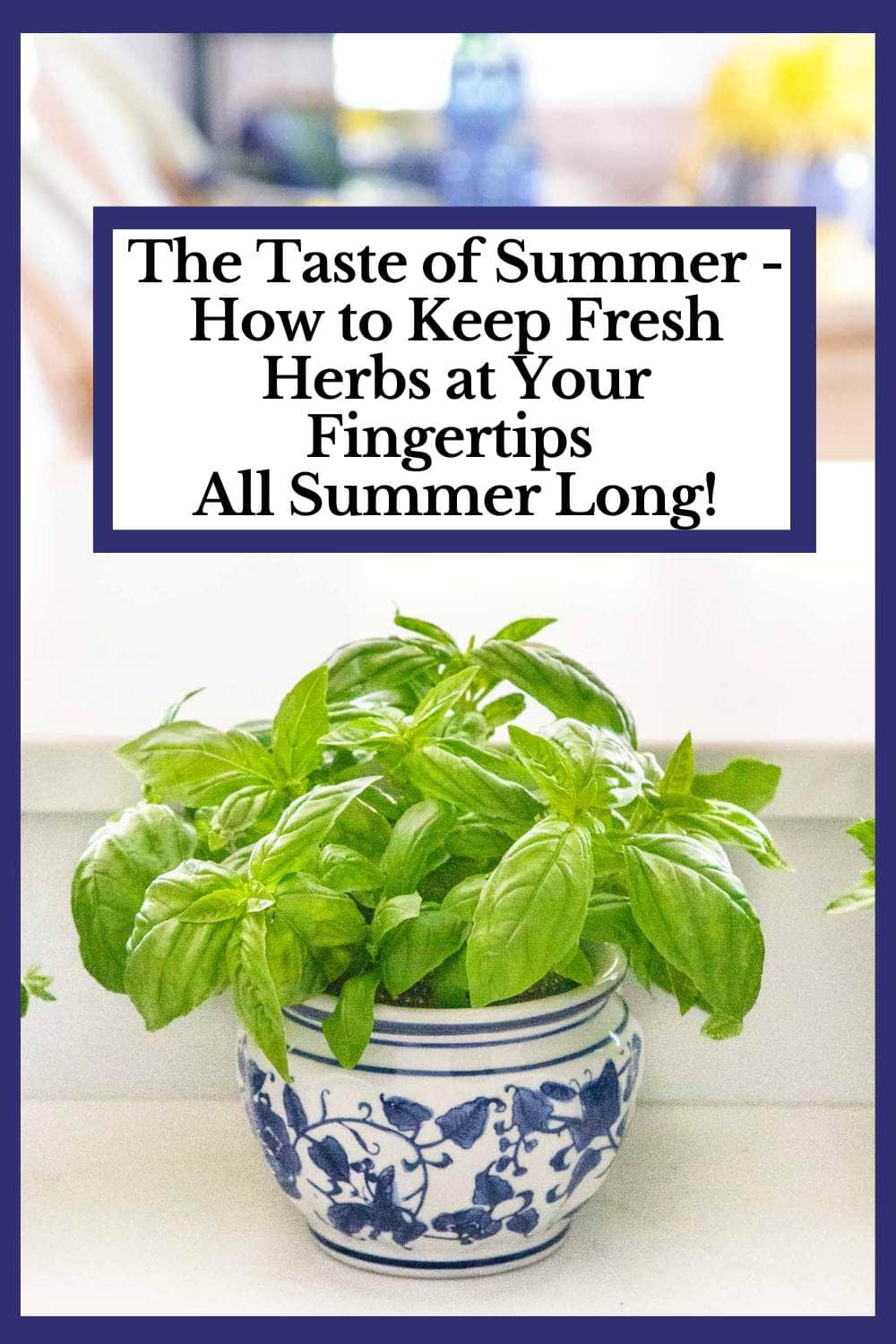 The Taste of Summer - How to Keep Fresh Herbs at Your Fingertips All Summer Long