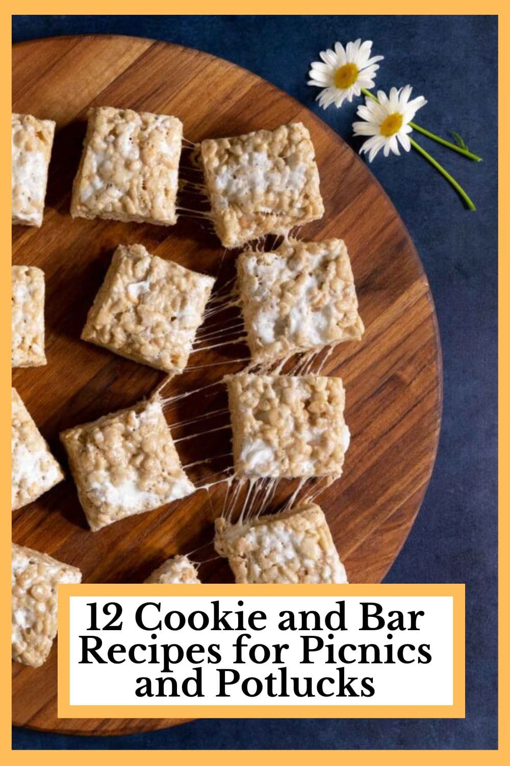 12 Cookie, Bar and Sweet Treat Recipes, Perfect for Picnics, Parties and Potlucks!