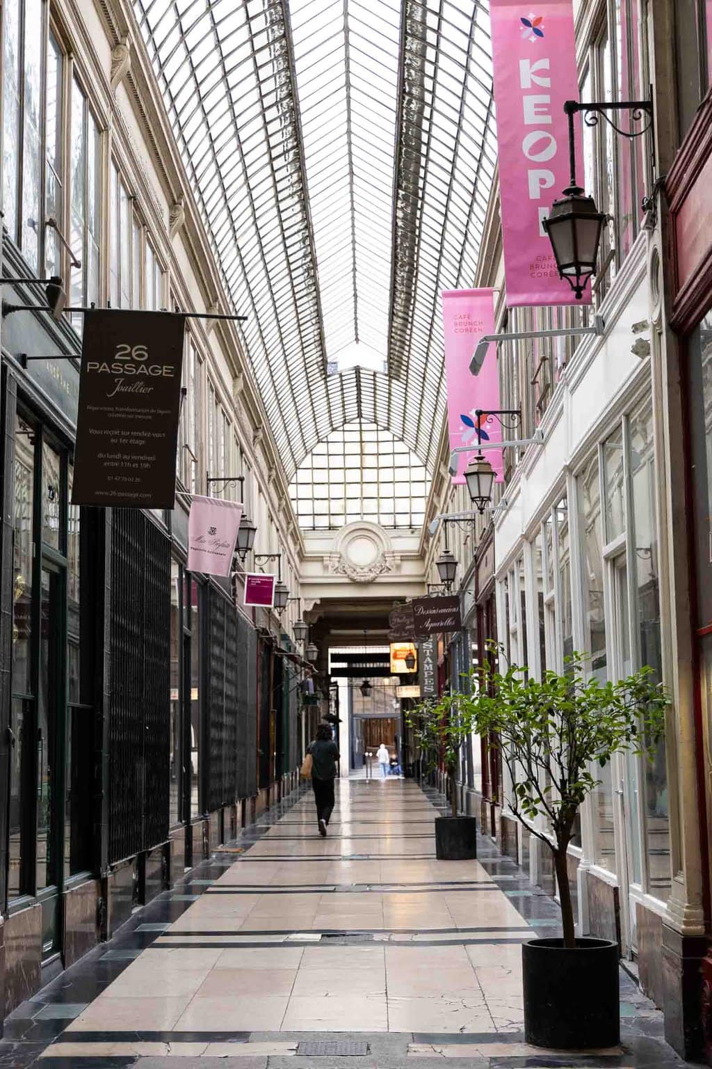 Vertical photo of one of Paris' gallery shopping/dining areas.