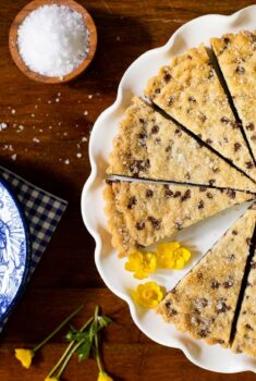 Horizontal overhead photo of Ridiculously Easy Chocolate Chip Shortbread on a white serving plate.