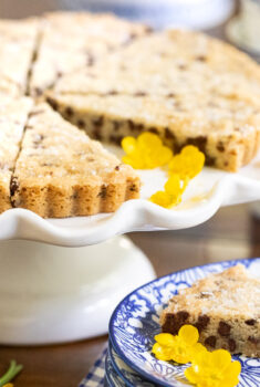 Horizontal photo of Chocolate Chip Shortbread on a white scalloped serving plate.