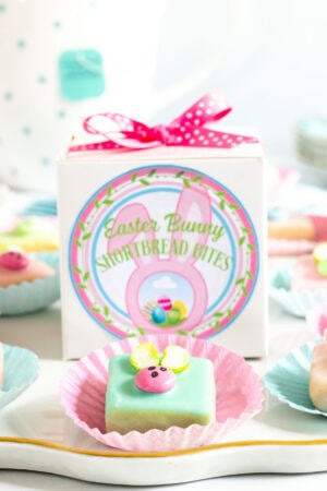 Easter Bunny Bite with teal icing and a pink faced bunny sitting in a pink muffin wrapper in front of a white box with a custom label perfect for gift giving