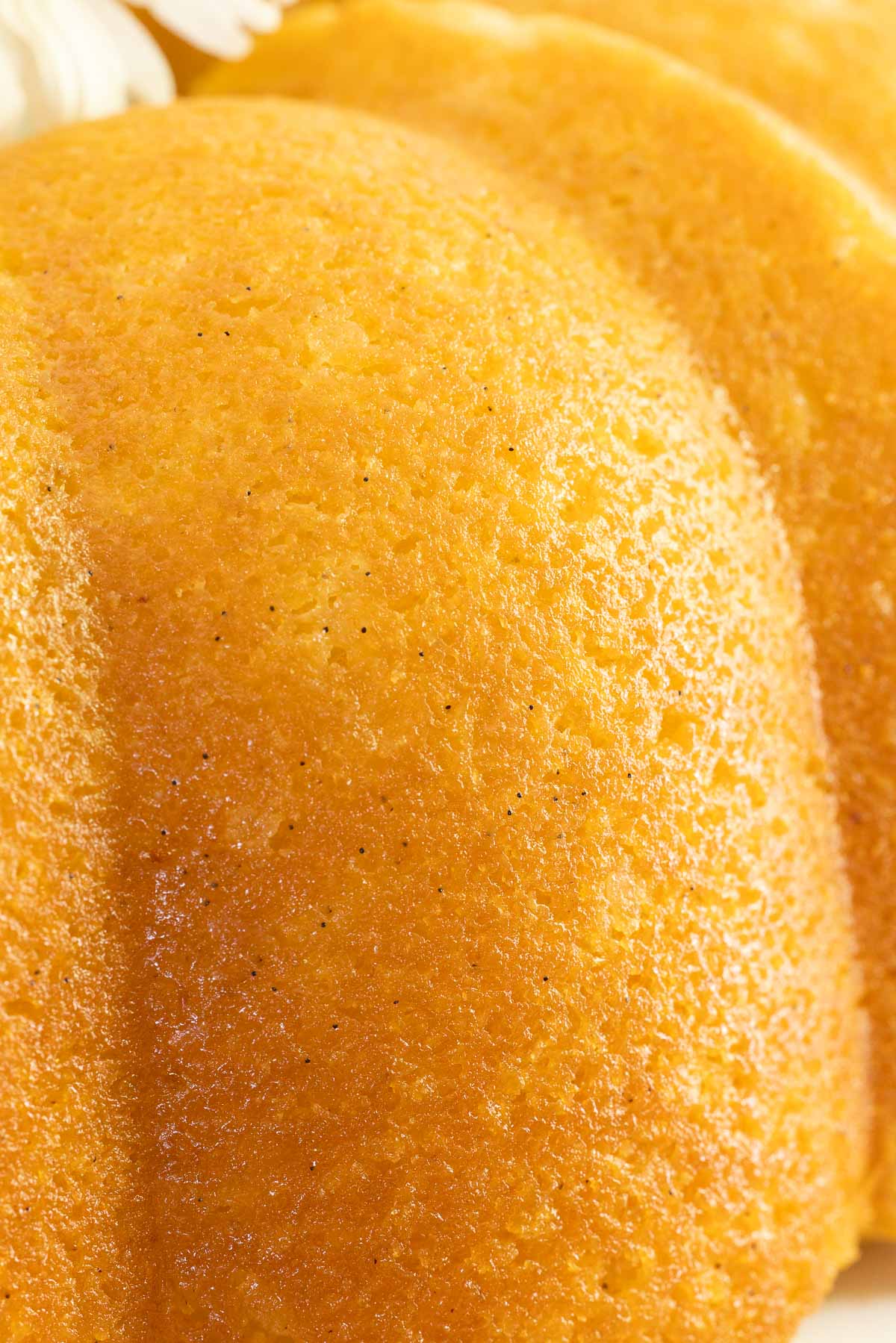 Close-up of a golden Vanilla Bean Bundt Cake, highlighting its moist texture, shiny glazed surface, and visible flecks of real vanilla bean