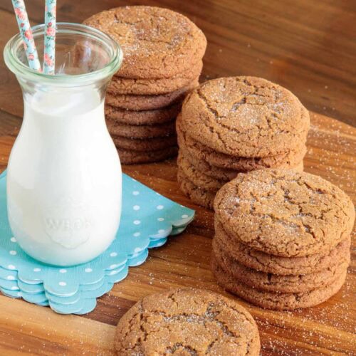 Ridiculously-Easy-Gingerdoodle