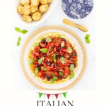 Overhead view of Italian white bean hummus topped with cherry tomatoes, roasted red peppers, Kalamata olives, basil, fennel fronds, and pine nuts, served with crostini on a light tabletop.