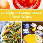 Winter citrus recipes including a salad, a tart and marmalade