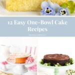 Collage of one bowl cakes