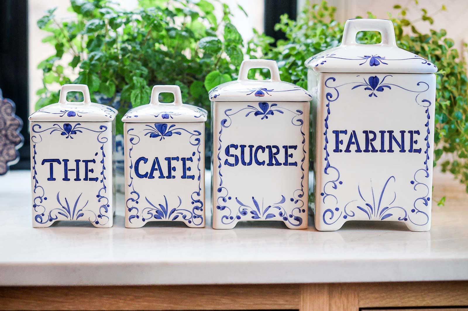Blue and white ceramic kitchen canisters labeled The, Café, Sucre, and Farine displayed on a countertop with a green herb plant in the background.