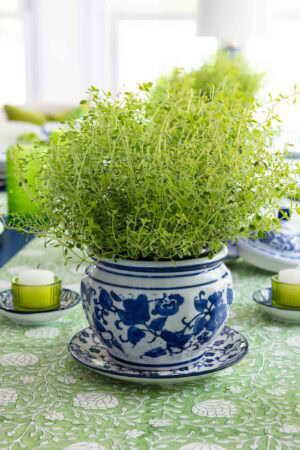 Fresh green herbs in a blue and white ceramic planter centerpiece on a green patterned tablecloth with blue and white dishes and green candle holders.